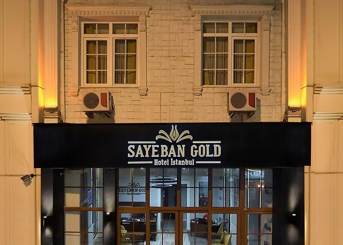 Hotel Sayeban Gold Provincia di Istanbul